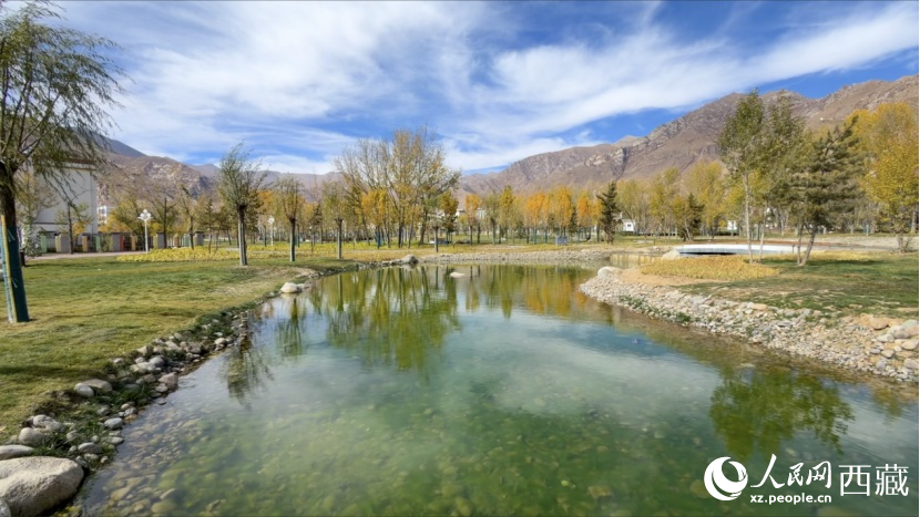 圖為青年林卡公園。人民網(wǎng)記者 次仁羅布攝