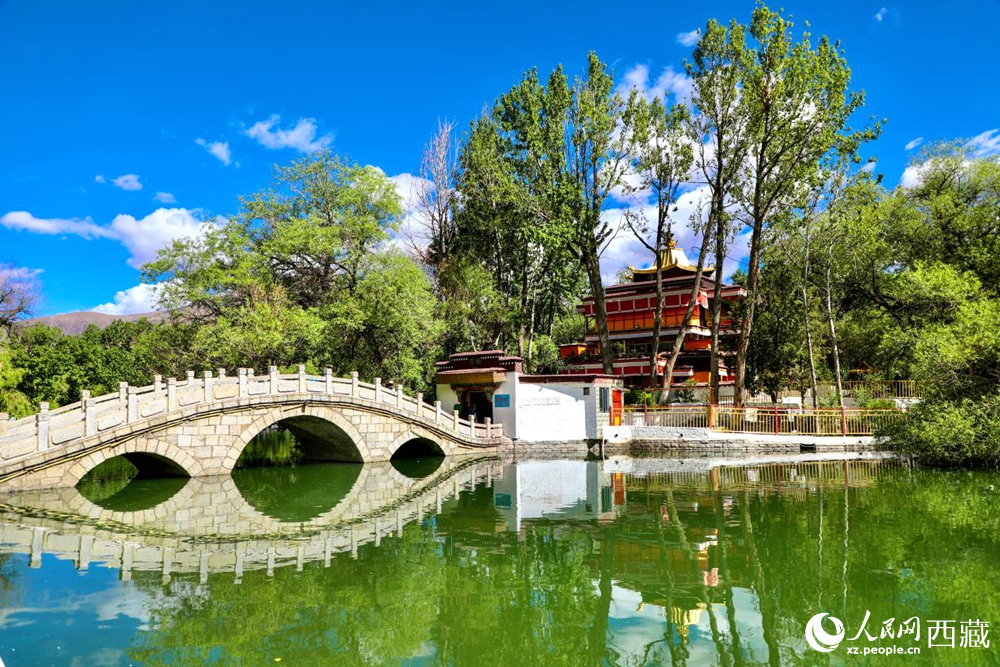 公園內(nèi)綠意盎然。