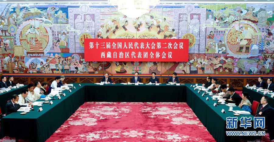 （兩會(huì)）西藏代表團(tuán)全體會(huì)議向媒體開放