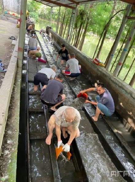 場(chǎng)面震撼！中國(guó)龍舟之鄉(xiāng)順德舉行起龍儀式