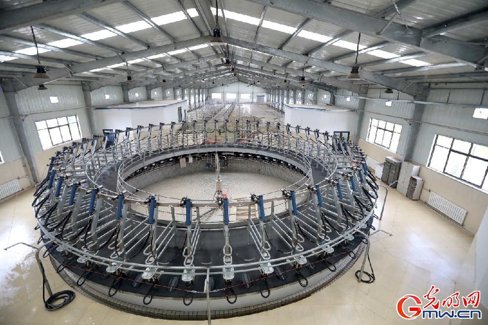 【幸?；ㄩ_新邊疆】大力發(fā)展西藏隆子縣特色產(chǎn)業(yè) 堅決打贏脫貧攻堅戰(zhàn)