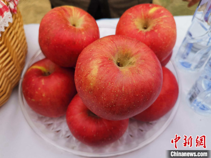 延安蘋果。<a target='_blank'  ><p  align=