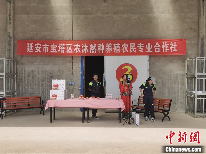 來源：柳林鎮(zhèn)果技園供圖。