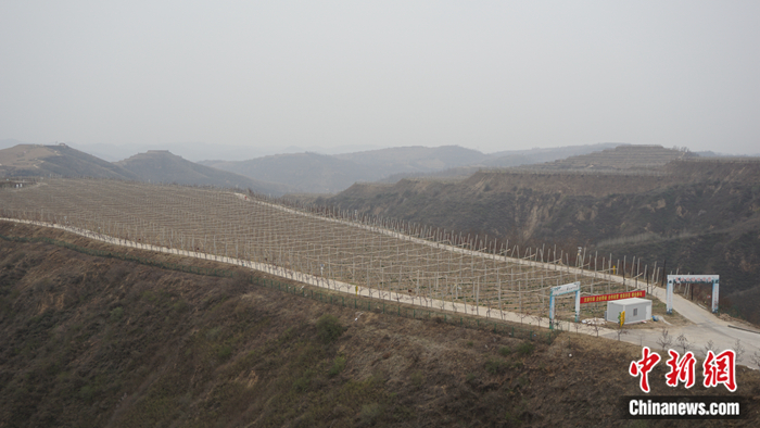 陜西省延安市安塞區(qū)高橋鎮(zhèn)南溝村生態(tài)示范園。 <a target='_blank'  ><p  align=