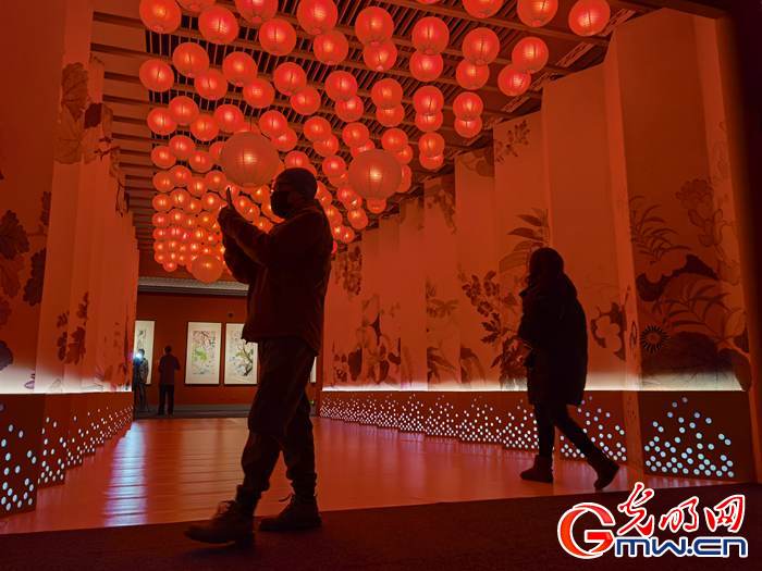 【新春走基層】視頻丨虎年看虎展！來國博感受虎文化