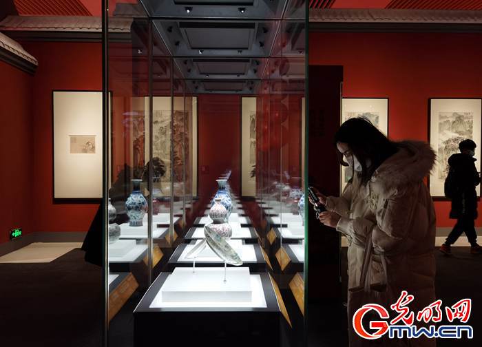 【新春走基層】視頻丨虎年看虎展！來國博感受虎文化