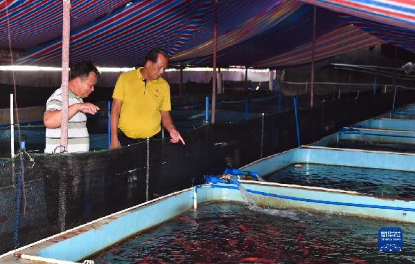 有聲手賬丨【我是一線黨代表 】王書茂：保護好“祖宗?！笔沁@輩子最大的心愿