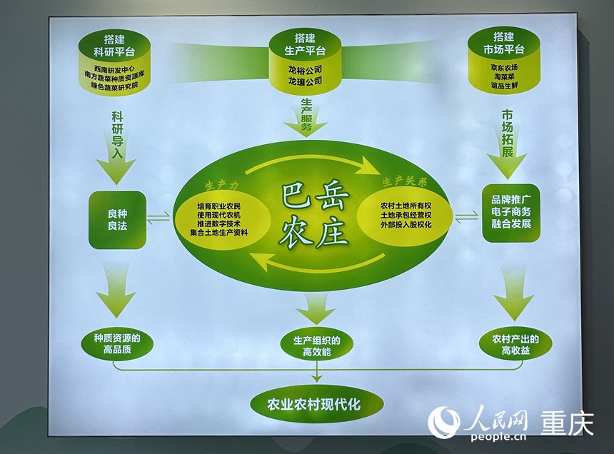 “巴岳農(nóng)莊”運(yùn)作示意圖。人民網(wǎng)記者 劉政寧攝